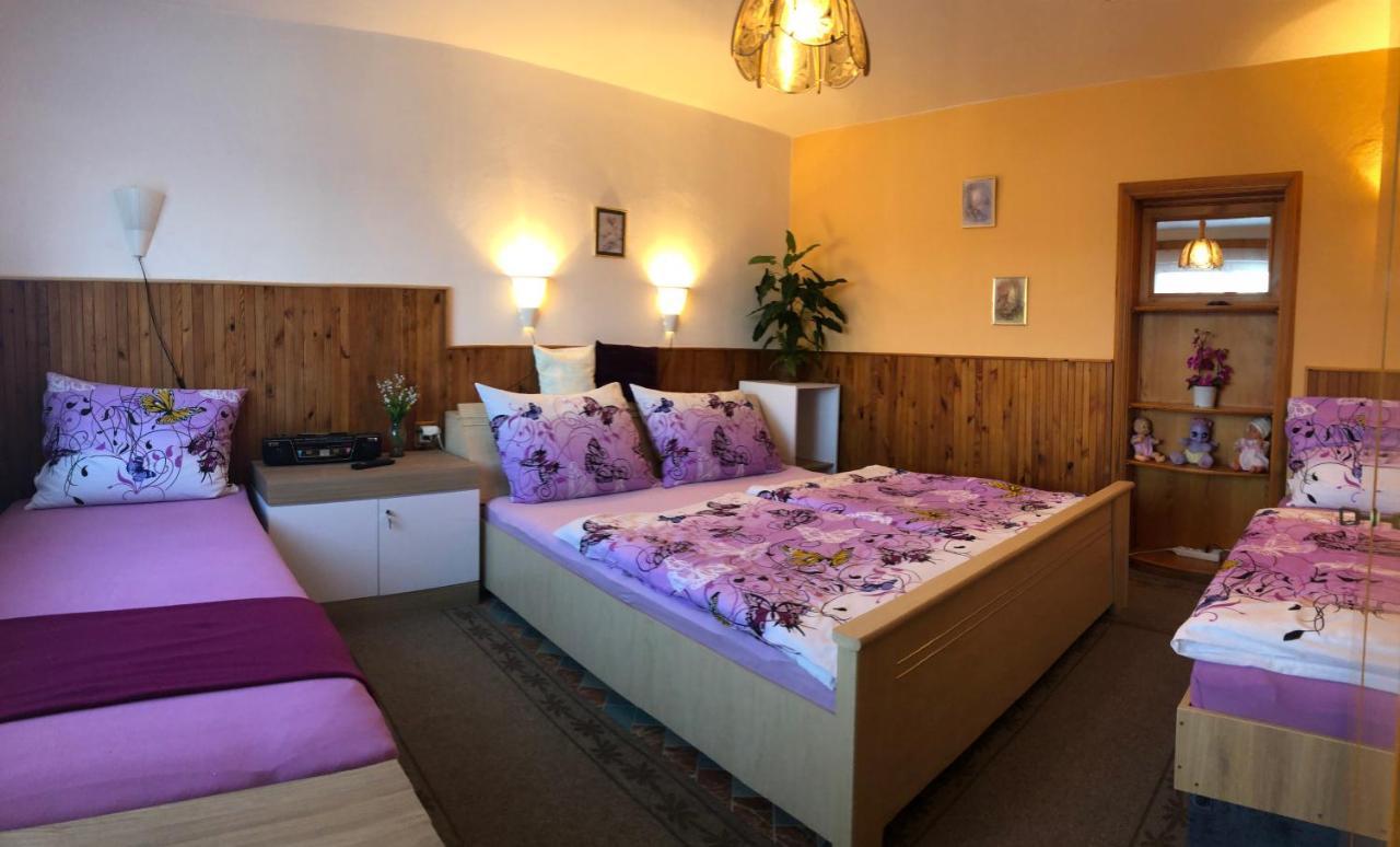 Apartmán Apartman Olesnik Exteriér fotografie
